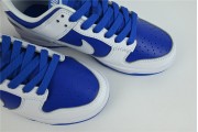 Nike Dunk white  and blue  dh3158 100