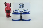Nike Dunk white  and blue  dh3158 100