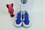 Nike Dunk white  and blue  dh3158 100