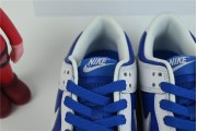 Nike Dunk white  and blue  dh3158 100