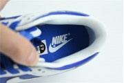Nike Dunk white  and blue  dh3158 100