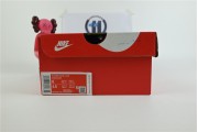 Nike Dunk white  and blue  dh3158 100