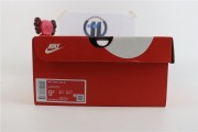 Dunk Low "Ceramic"
