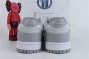 Nike Dunk Low Two Tone Grey