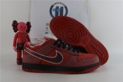 Nike Dunk SB Low Red Lobster