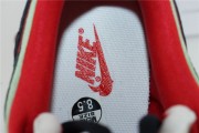 Otomo Katsuhiro x Nike SB Dunk Low Steamboy OST Green Blue Red