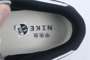 Nike SB Dunk Low "Racing Buggt Sand Scorchrc"
