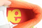 Nike SB Dunk Low What the Dunk