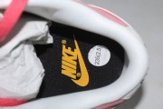 Nike Dunk Low “'85” Double Swoosh Neptune