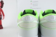 Nike Dunk Low University of Oregon PE