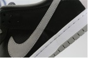 Nike SB Dunk Low J-Pack Shadow
