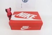 Women's Nike Dunk Low "Brown/Sail" DD1503-124