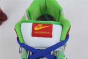 eBay x Nike SB Dunk Low FD8777-100
