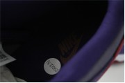 Nike Dunk Low “Ugly Duckling Purple”