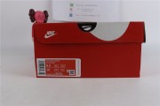 Nike Dunk Low SE DH0957  100