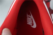 Nike SB dunk Red