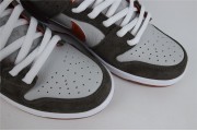 Crushed D.C. x Nike SB Dunk Low