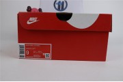 SS TOP Parra x Nike SB Zoom Dunk Low