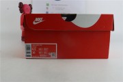 Nike Dunk Low Essential Paisley Pack Worn Blue