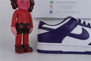 Nike Dunk Low Championship Court Purple