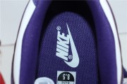 Nike Dunk Low Championship Court Purple