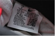Nike SB Dunk Low Chicago