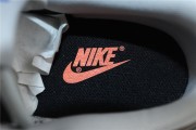 Nike SB dunk