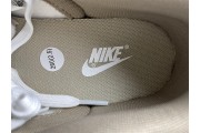 Nike Dunk Low Judge Grey