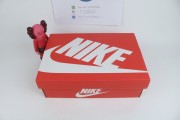 Nike SB dunk